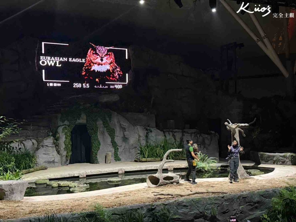 【新加坡夜間動物園】夜間野生動物園10大必玩、體驗評價! 4 20251015184039 0 2b12e1