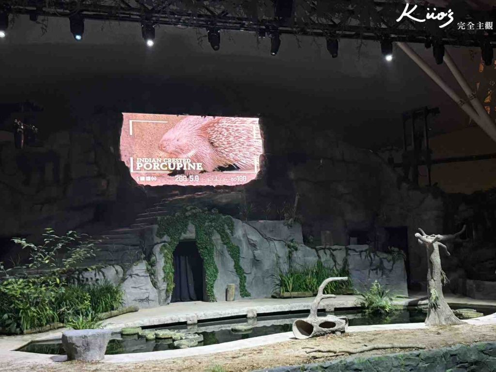 【新加坡夜間動物園】夜間野生動物園10大必玩、體驗評價! 19 20251015184314 0 00bc08