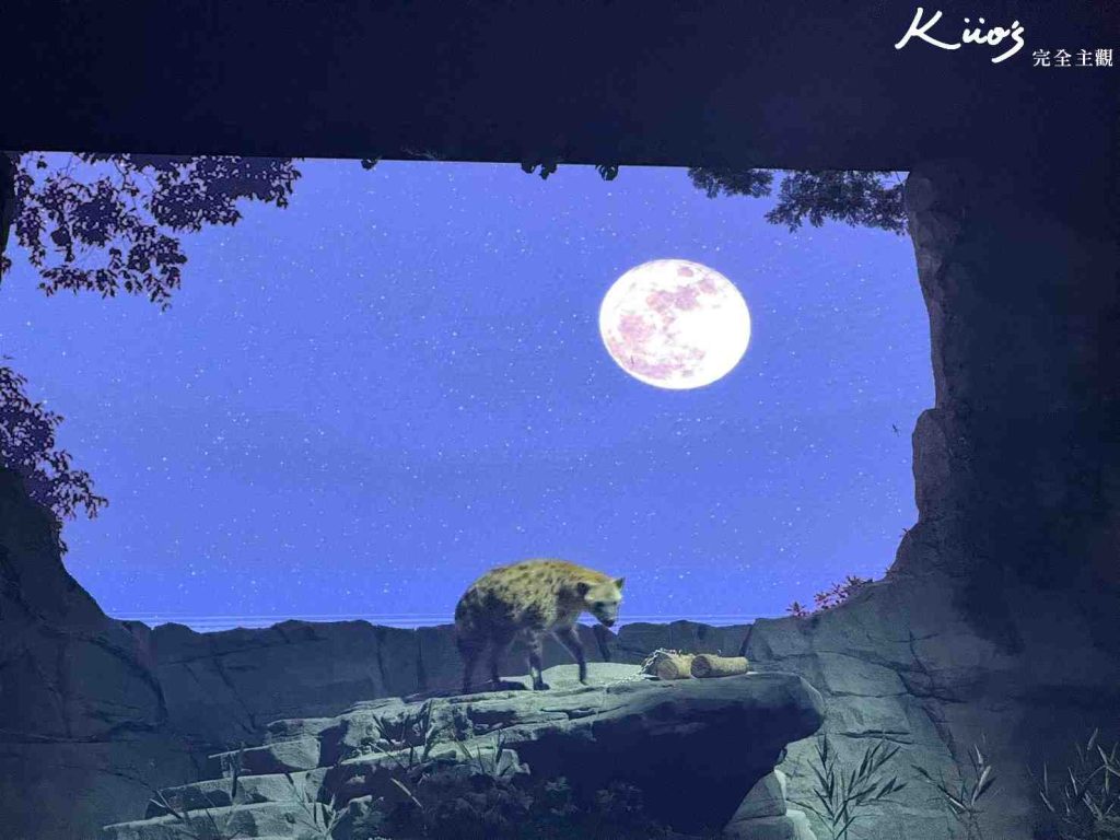 【新加坡夜間動物園】夜間野生動物園10大必玩、體驗評價! 18 20251015184314 0 57237d