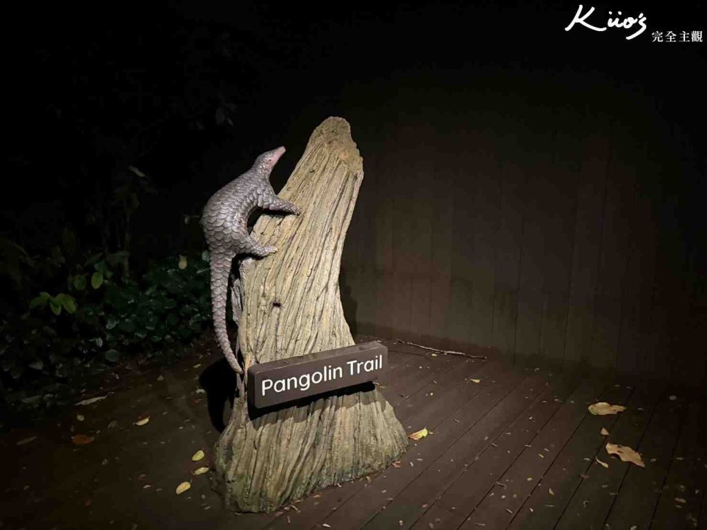 【新加坡夜間動物園】夜間野生動物園10大必玩、體驗評價! 32 20251015190446 0 5012ab