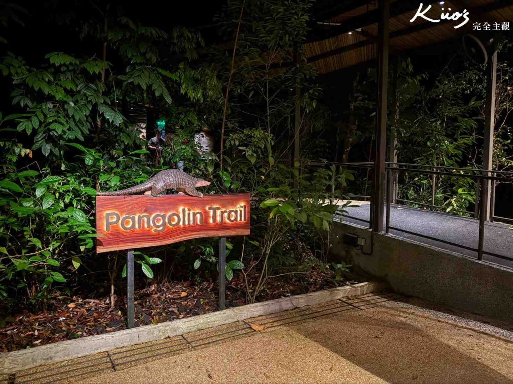 【新加坡夜間動物園】夜間野生動物園10大必玩、體驗評價! 30 20251015190446 0 717ad5