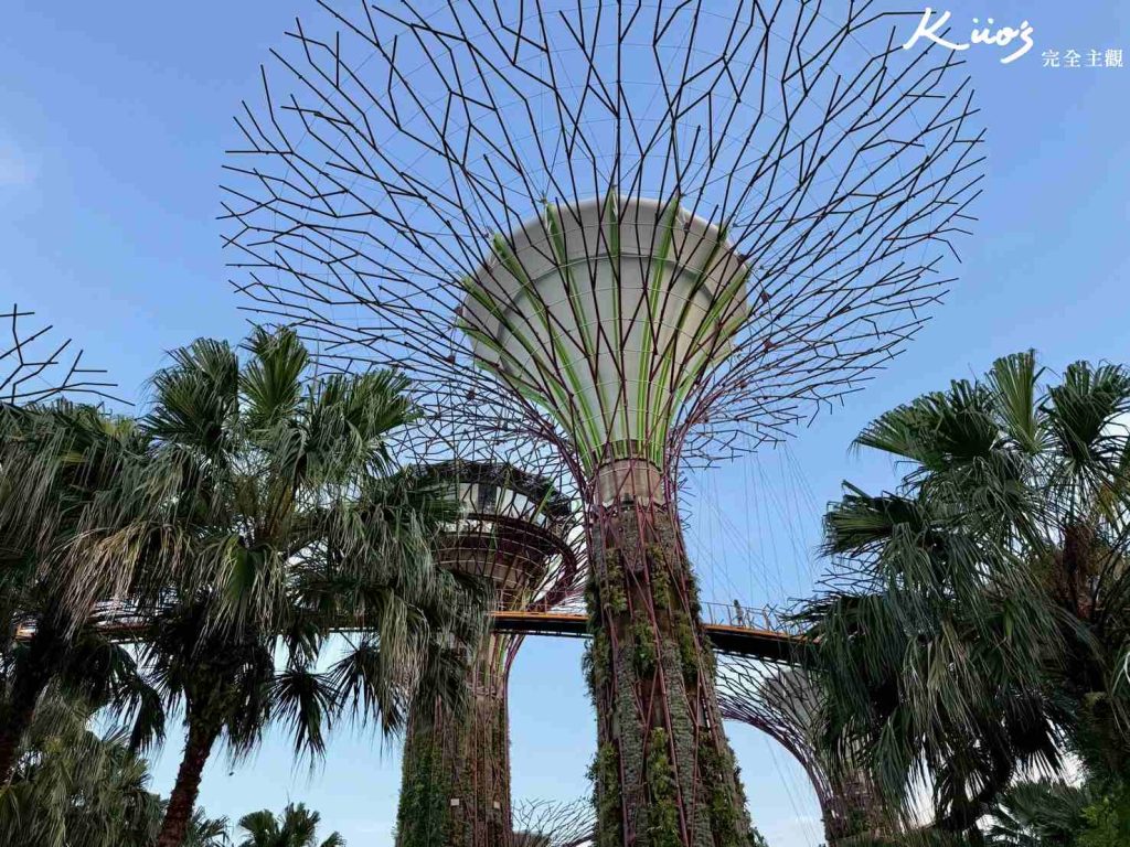 【新加坡濱海灣花園】新加坡濱海灣10大必玩亮點! 23 20251021192622 0 6ed532