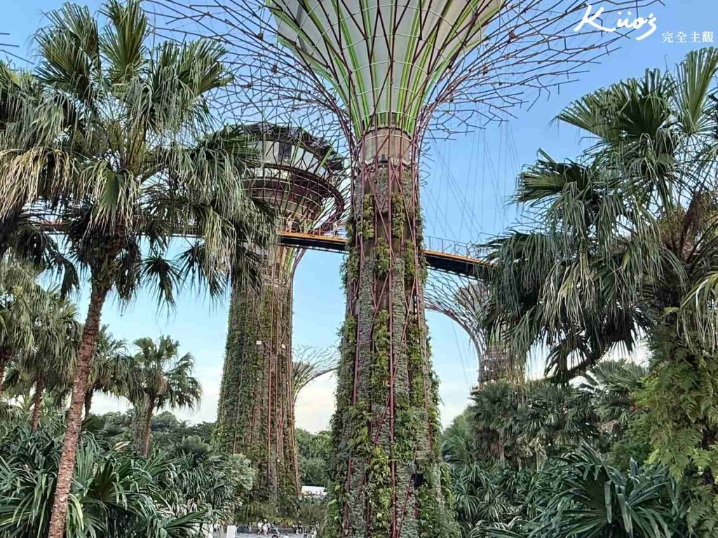 【新加坡濱海灣花園】新加坡濱海灣10大必玩亮點! 34 20251021193023 0 be4174