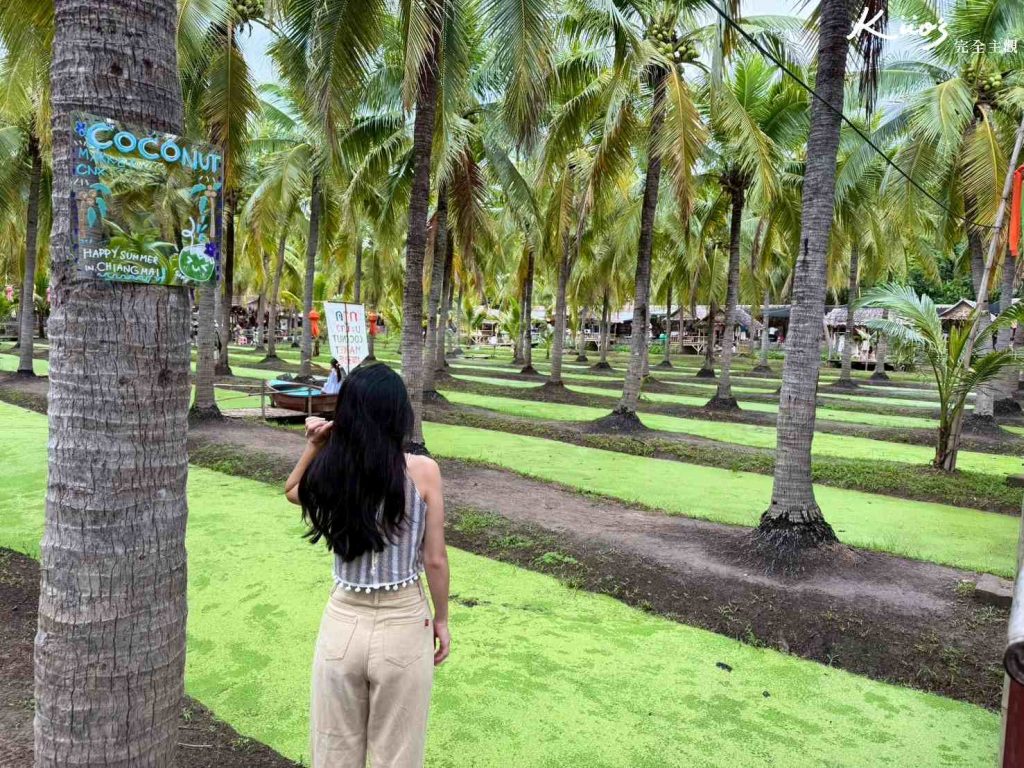清邁市集推薦-椰子市集