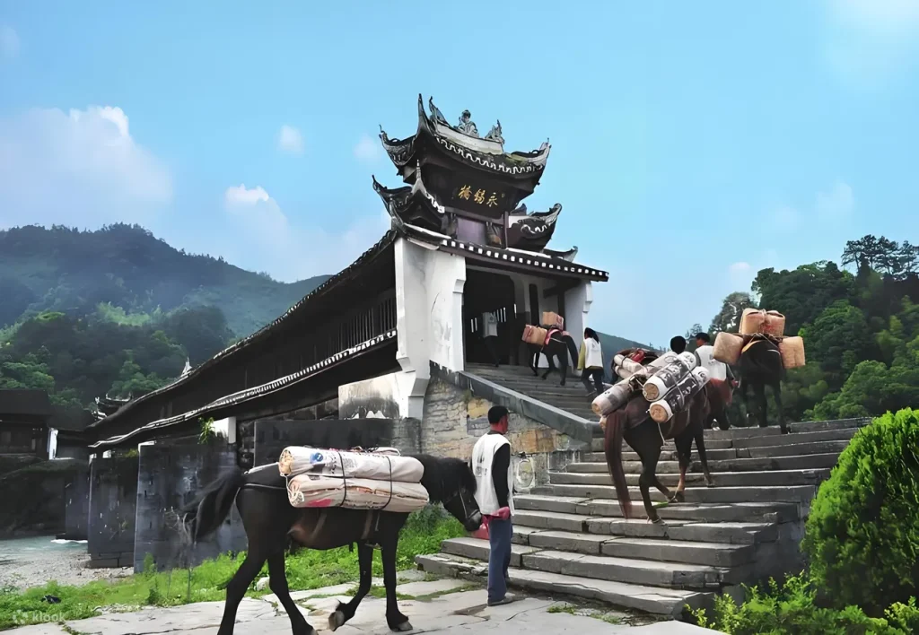 20251216123829 0 931345