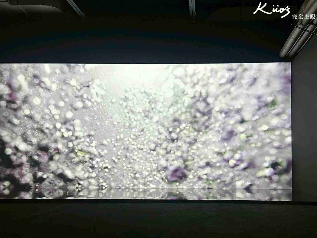 20260120205155 0 8f2170