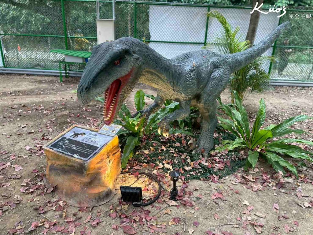 20260120210432 0 782693