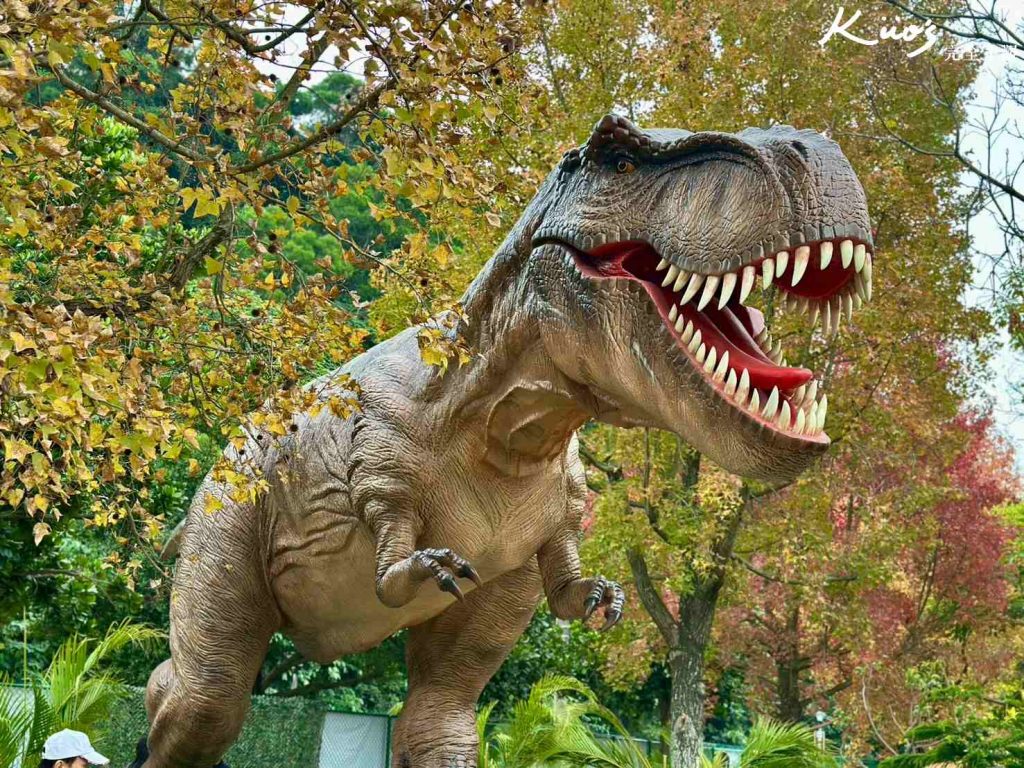 20260120210432 0 ef9ff9