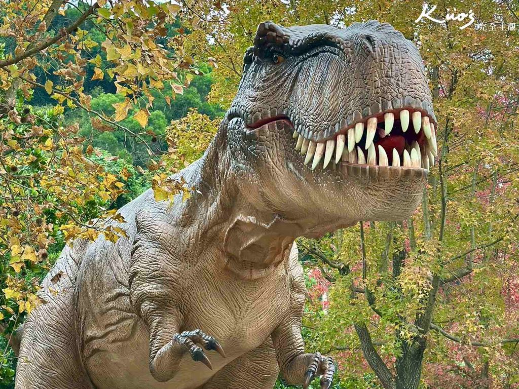 20260120210526 0 709871