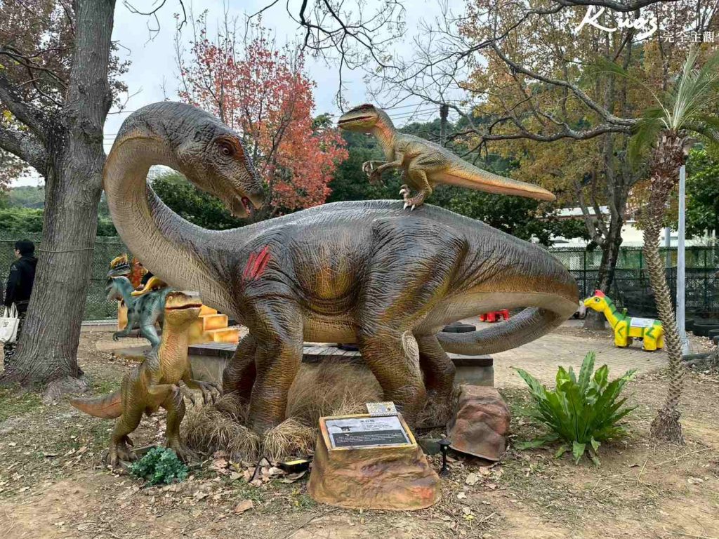 20260120210919 0 d11fd6