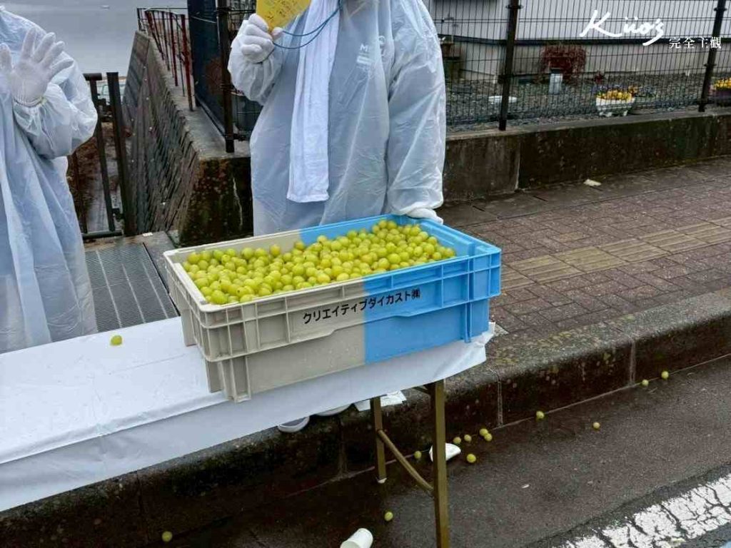 20260129120800 0 727706