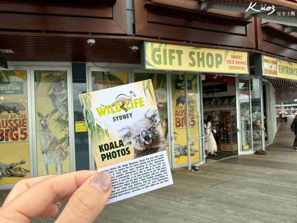 【2026雪梨野生動物園】門票攻略.無尾熊合照.共進早餐夢幻體驗! 10 雪梨動物園