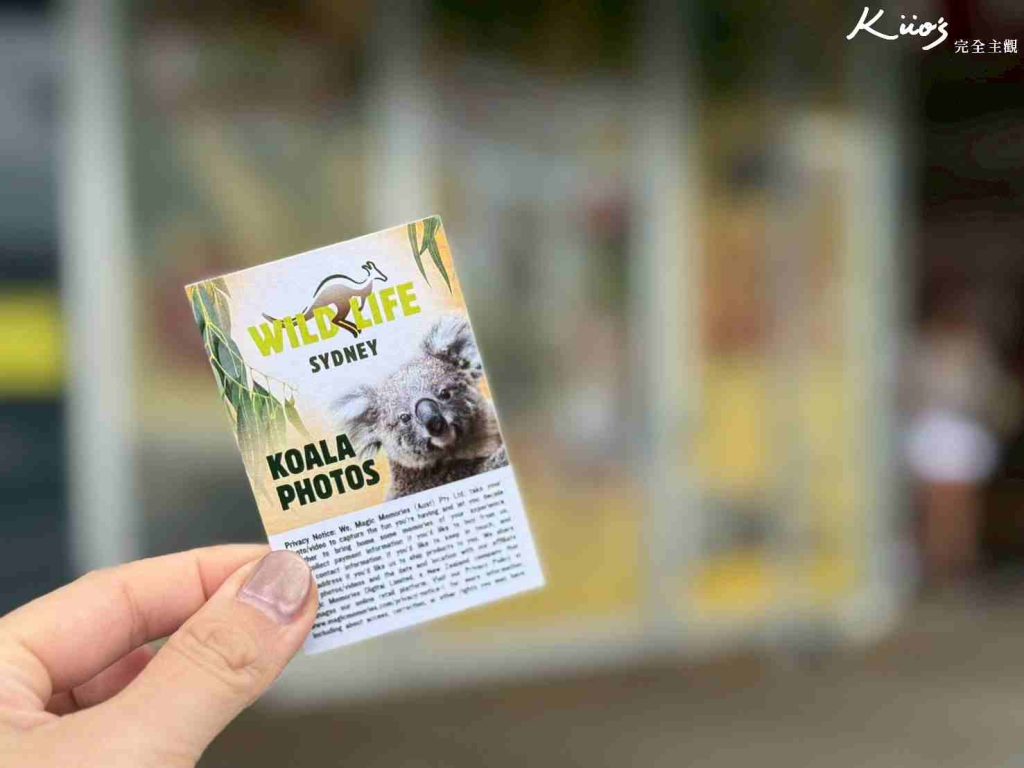【2026雪梨野生動物園】門票攻略.無尾熊合照.共進早餐夢幻體驗! 29 雪梨動物園