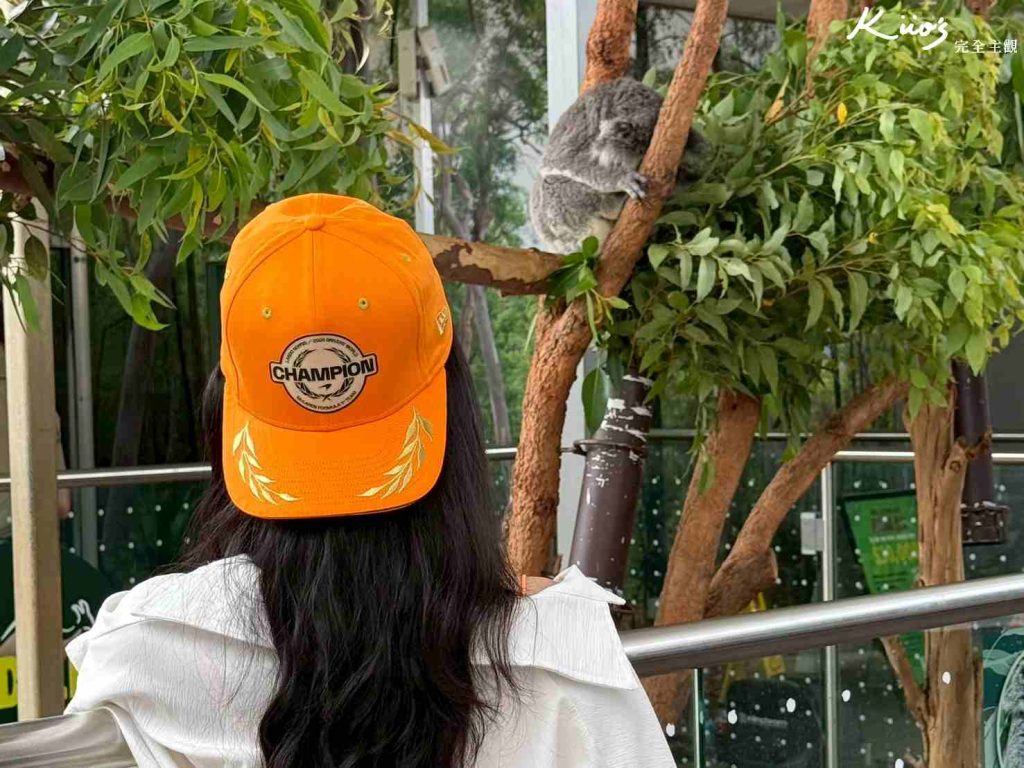 【2026雪梨野生動物園】門票攻略.無尾熊合照.共進早餐夢幻體驗! 20 雪梨動物園