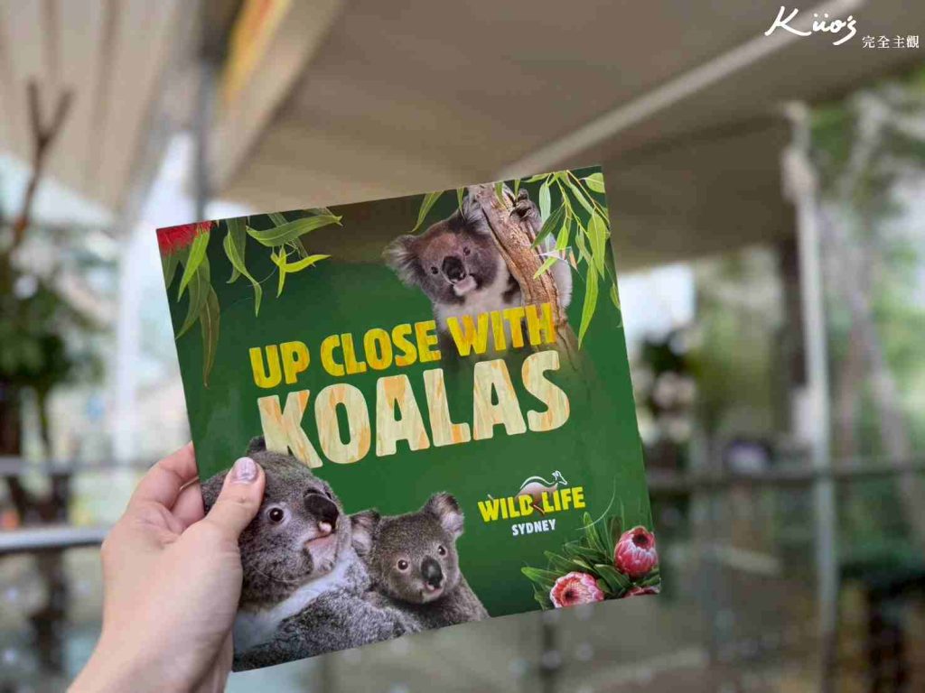 【2026雪梨野生動物園】門票攻略.無尾熊合照.共進早餐夢幻體驗! 4 雪梨動物園