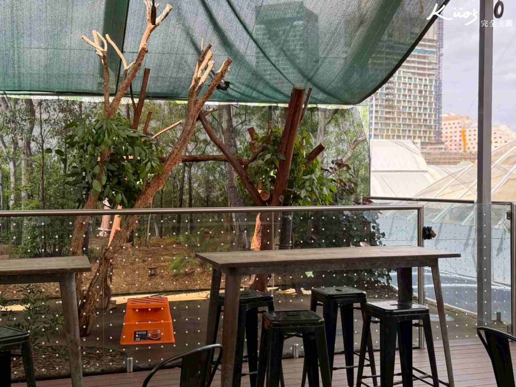 【2026雪梨野生動物園】門票攻略.無尾熊合照.共進早餐夢幻體驗! 9 雪梨動物園