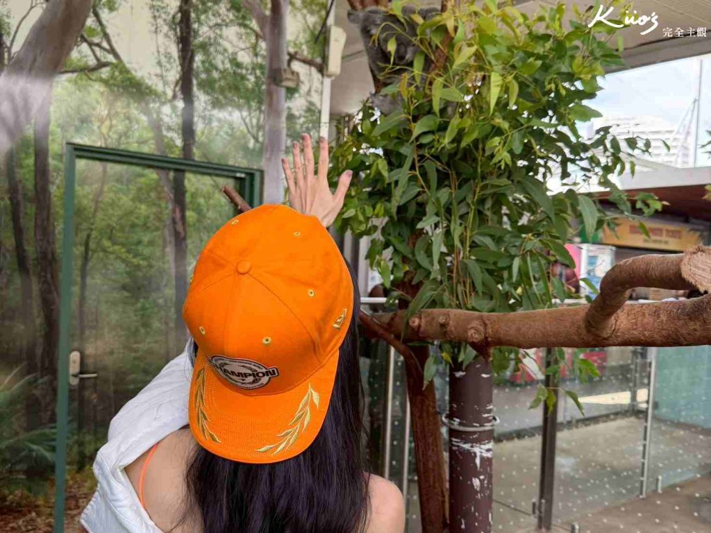 【2026雪梨野生動物園】門票攻略.無尾熊合照.共進早餐夢幻體驗! 3 雪梨動物園