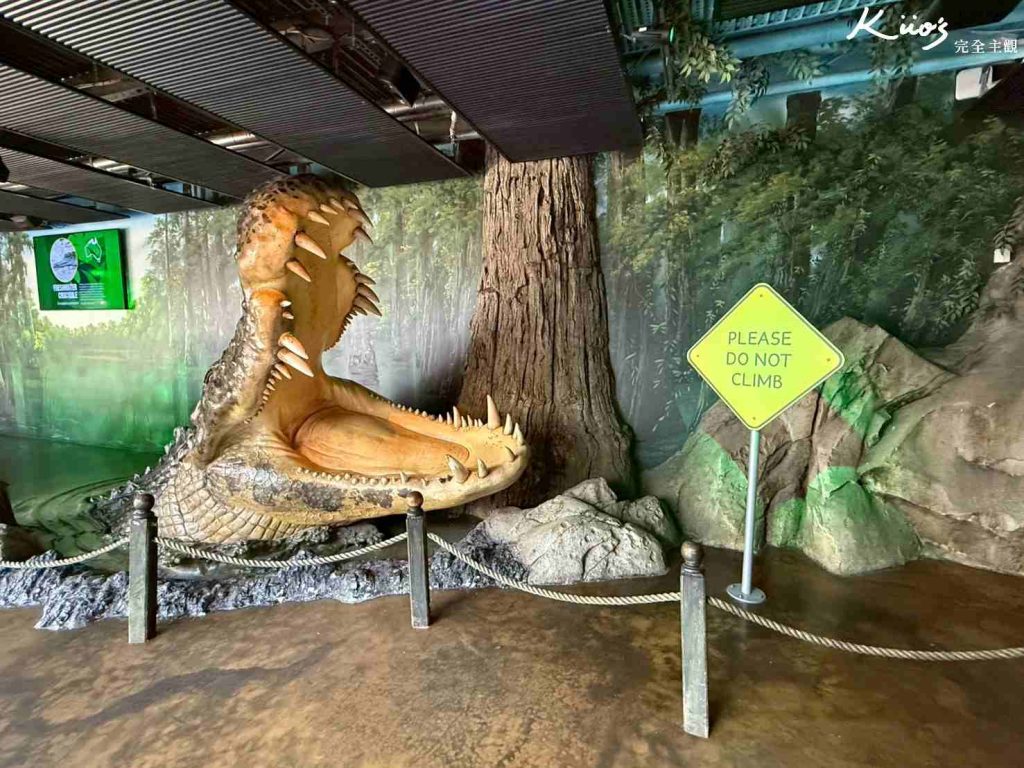 【2026雪梨野生動物園】門票攻略.無尾熊合照.共進早餐夢幻體驗! 13 雪梨動物園