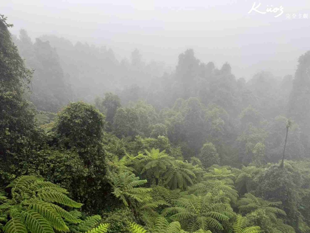 雪梨藍山一日遊