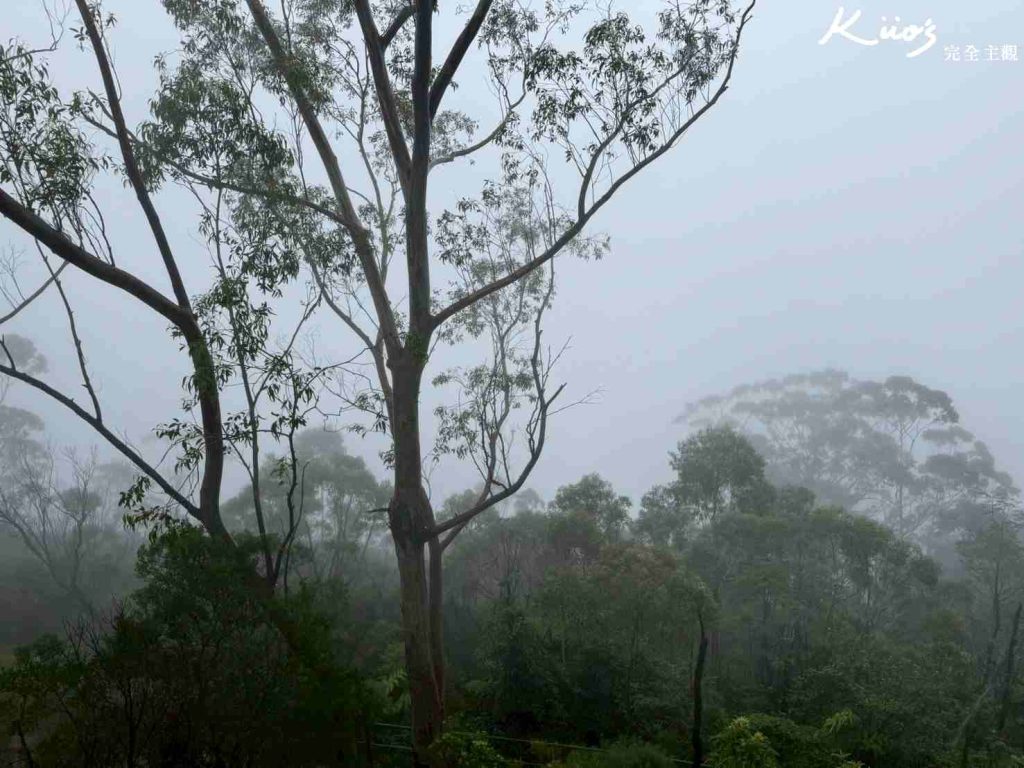 雪梨藍山一日遊