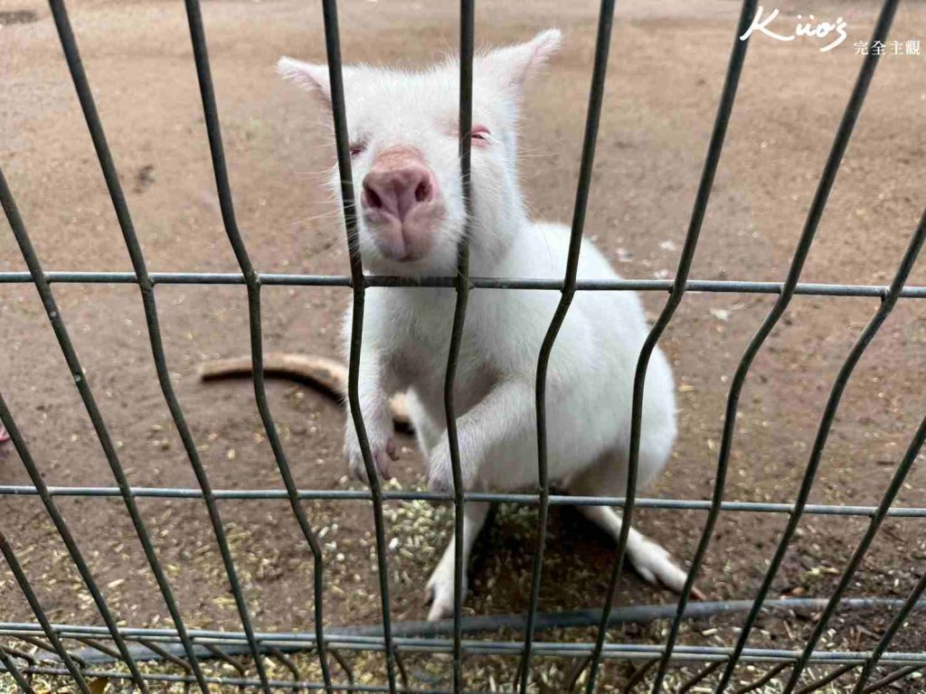費瑟戴爾野生動物園