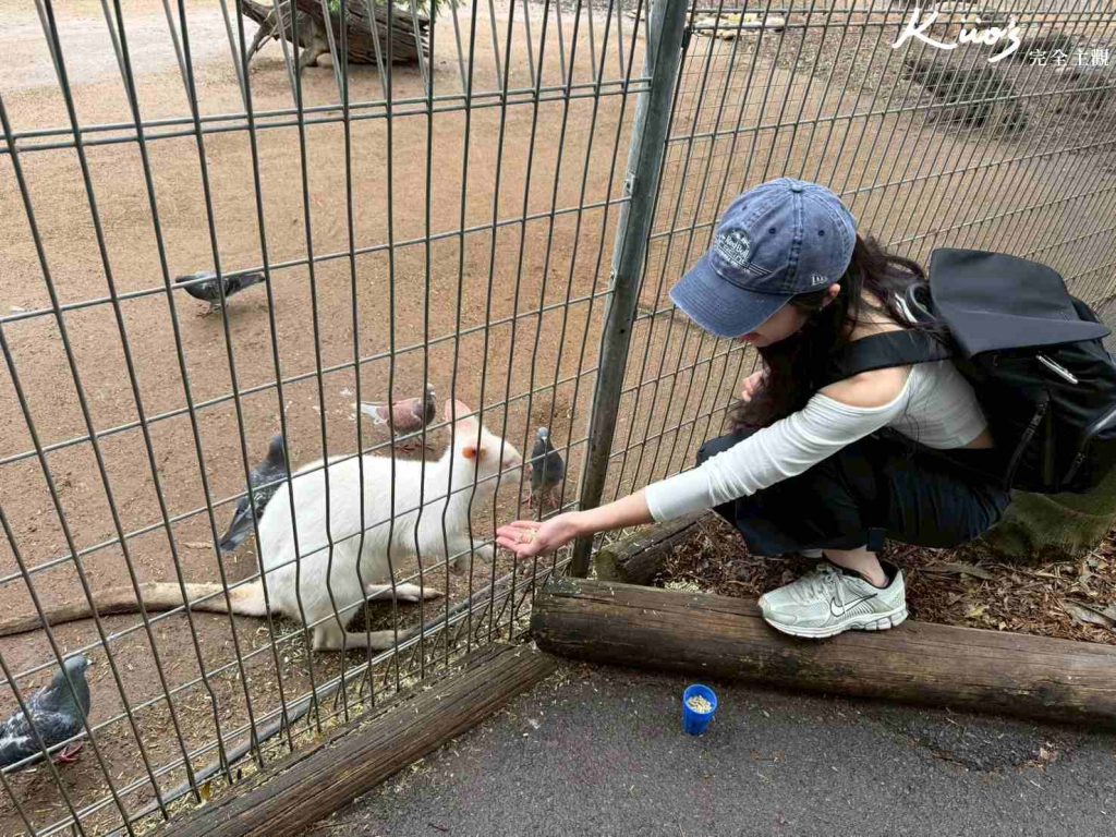 費瑟戴爾野生動物園