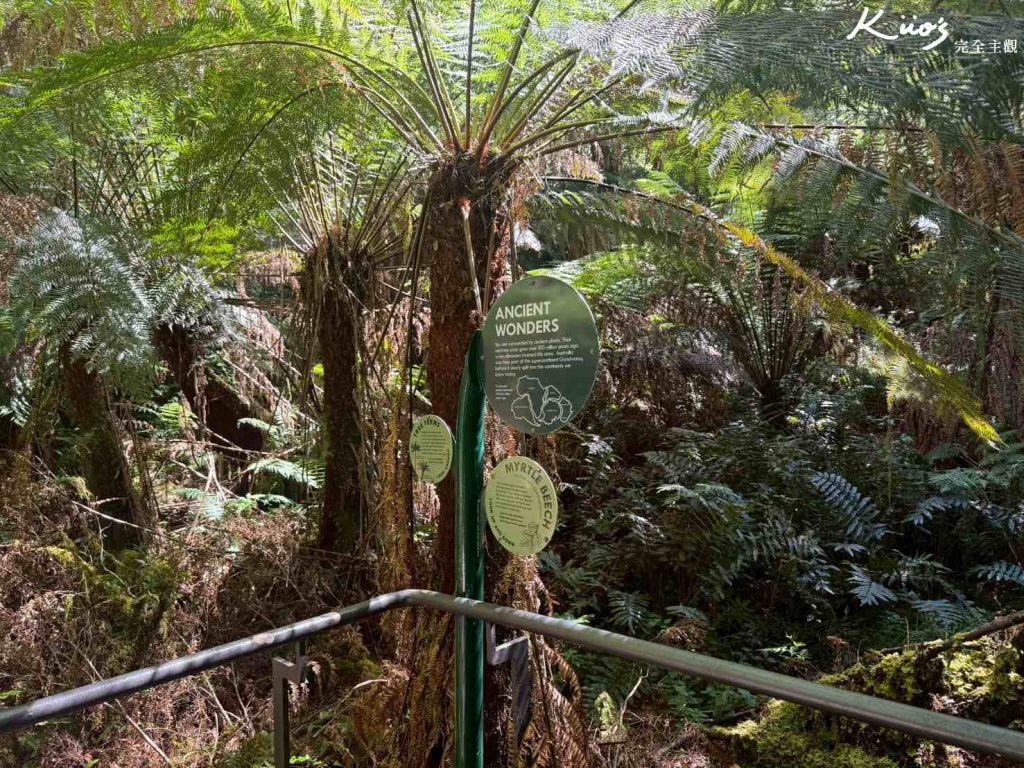 20260331131612 0 78e976