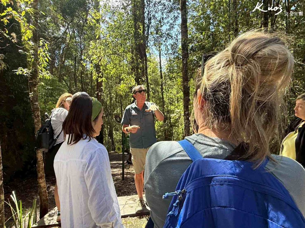 墨爾本大洋路一日遊