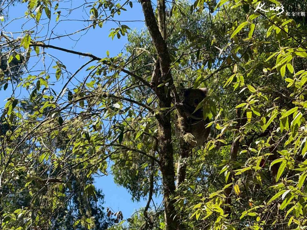 20260331131623 0 1e232b