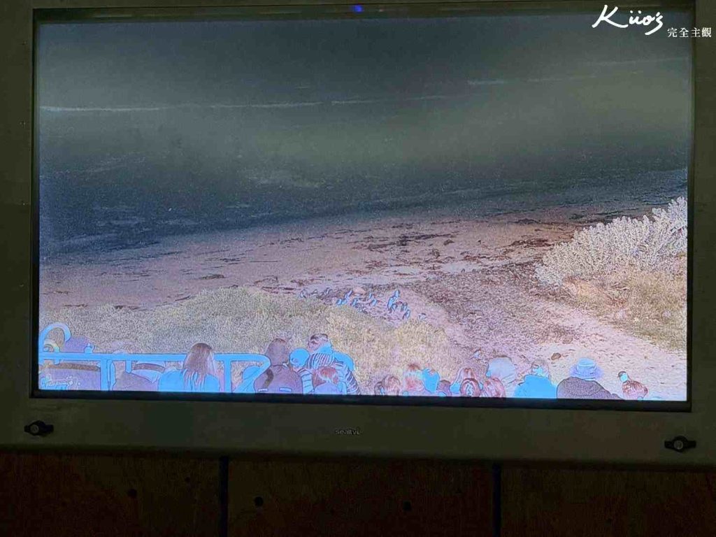 澳洲墨爾本菲利浦島