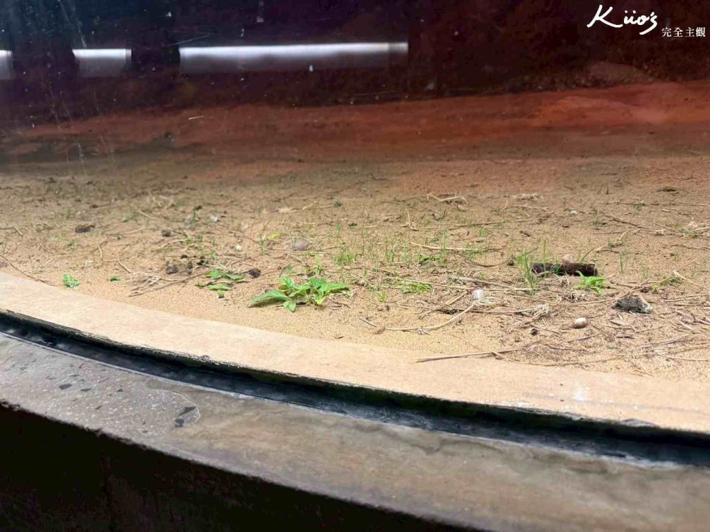 20260331131805 0 c1b6f7