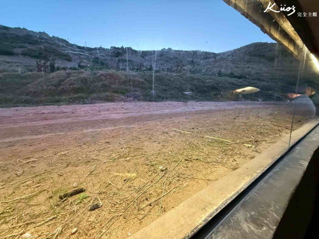 20260331131818 0 59070d