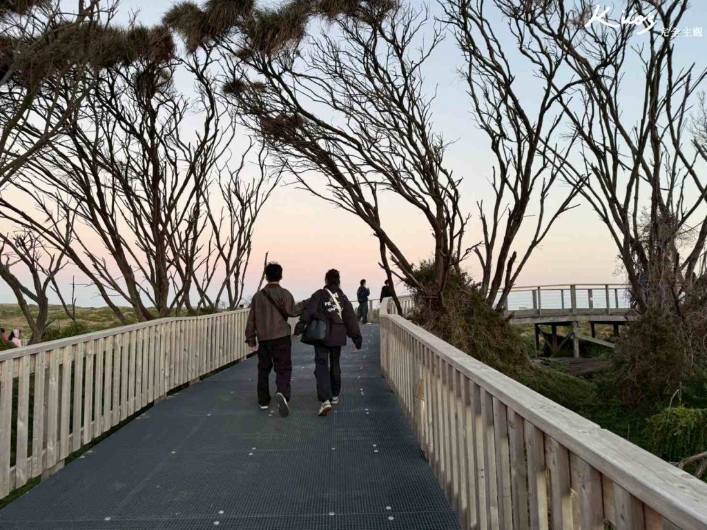 20260331131838 0 f1b6b6