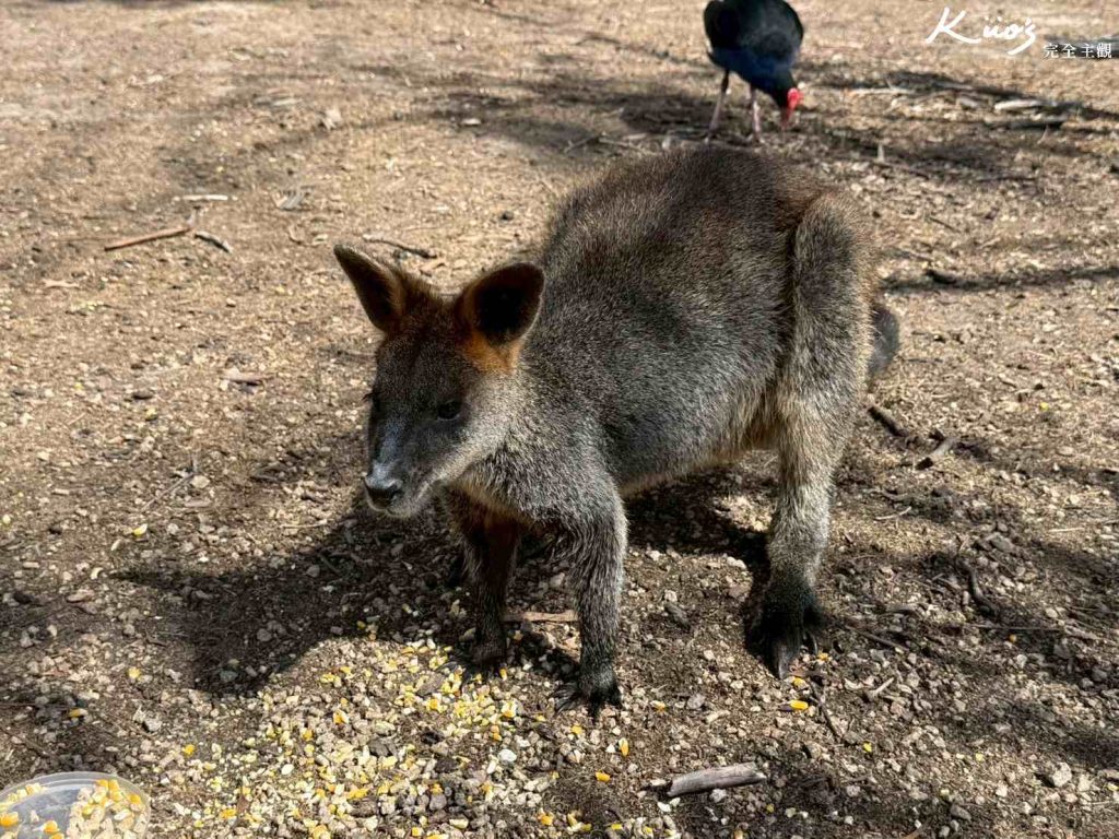 20260331132030 0 66b2fd