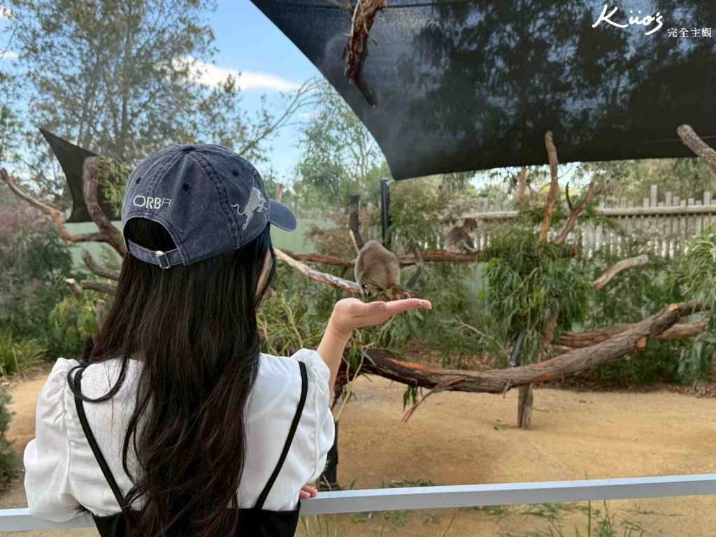 20260331132106 0 b5fc01