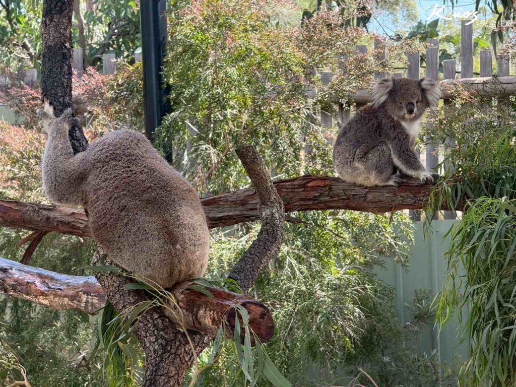 20260331132109 0 9f7451