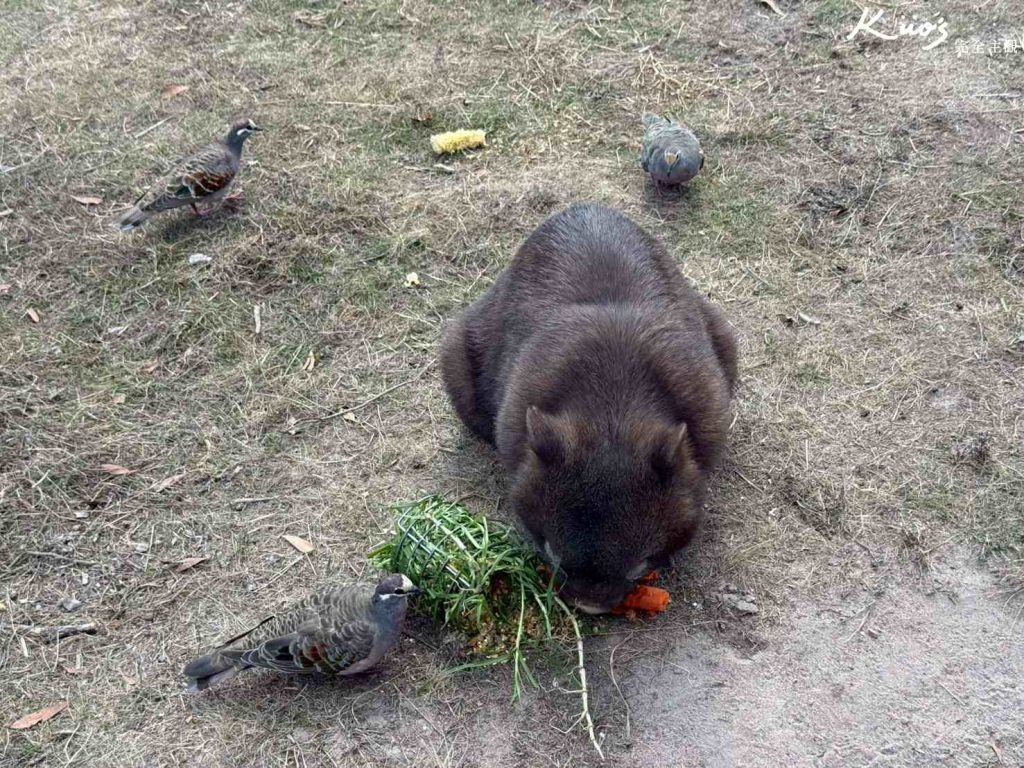 20260331132122 0 d1bd80